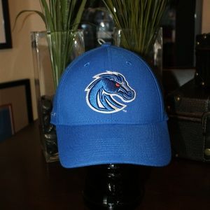 Nike Boise State Hat